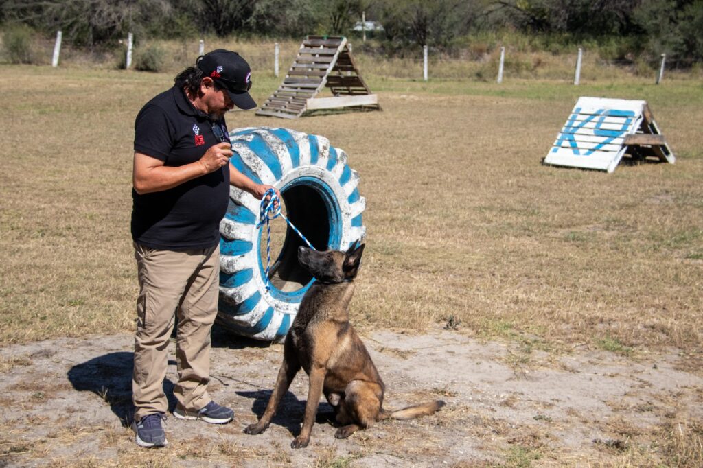 Implementa la UAT cursos de adiestramiento canino.