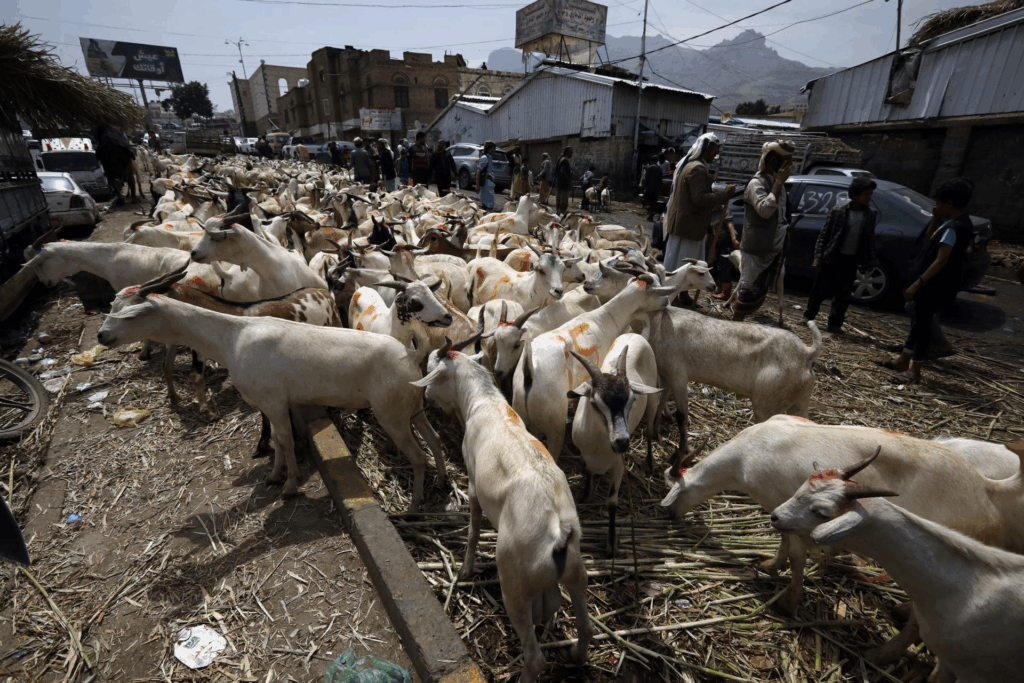 México busca reabrir la frontera con Estados Unidos para exportación de ganado antes de noviembre