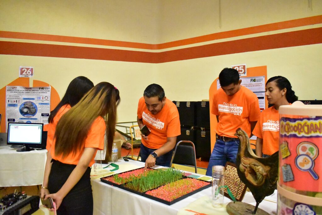 Produce la UAT forraje hidropónico del sorgo y maíz